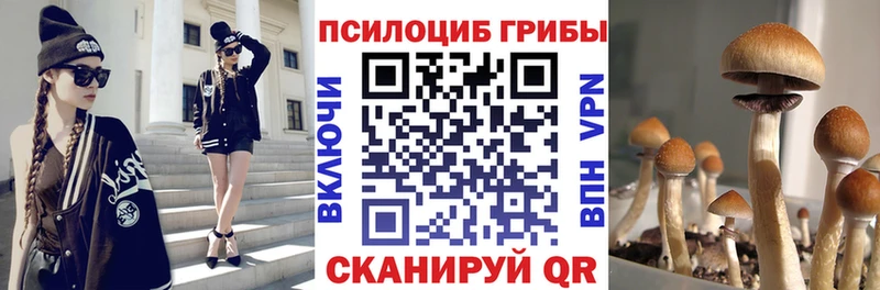 Галлюциногенные грибы MAGIC MUSHROOMS  Очёр 